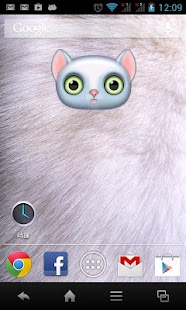 How to get Zoo Live Wallpaper - Cat 1.0.1 apk for pc
