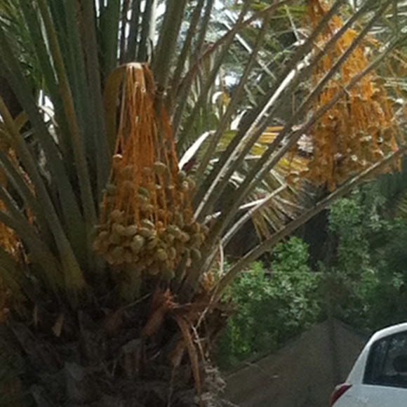 Spotting Image 1