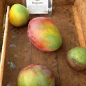 Rapoza mango