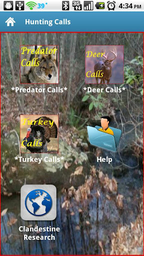 Hunting Calls