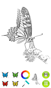 download Coloring Book Butterflies free
