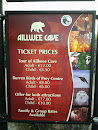 Aillwee Cave & Birds of Pray