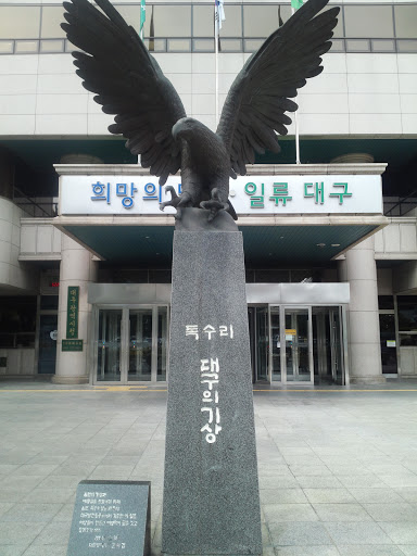 The Eagle of Daegu