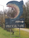 Pisciculture Mural