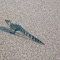 sunswimer02