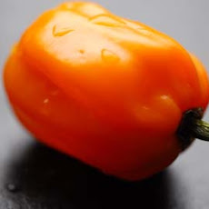 Habanero peach salsa