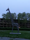 Biennale 1968 - Żyrafa