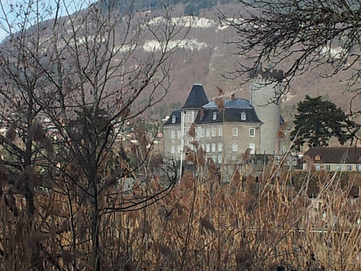 Château De Duingt