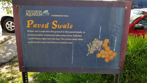 Paved Swale
