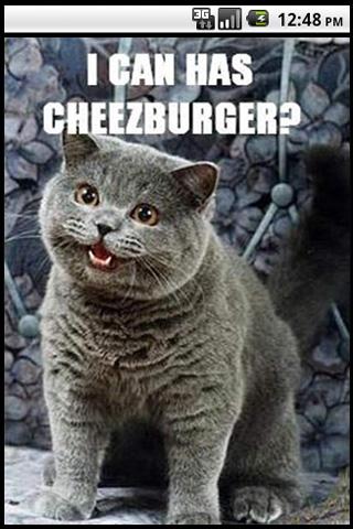 random-lolcat for android screenshot