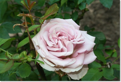 038
