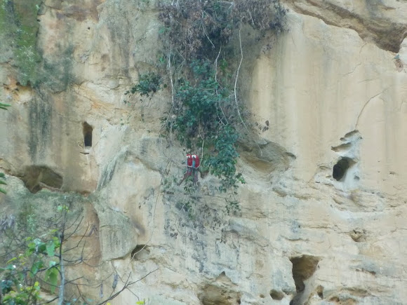 Spotting Image 1