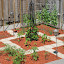 ceae's Kitchen garden