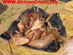 [HumanRemainsInsideShotCrocSouthAfricaIncludedBabyParts[1].jpg]