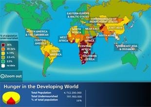 [GlobalHungerMap2008_WHO[7].jpg]