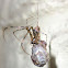 Wood scorpion