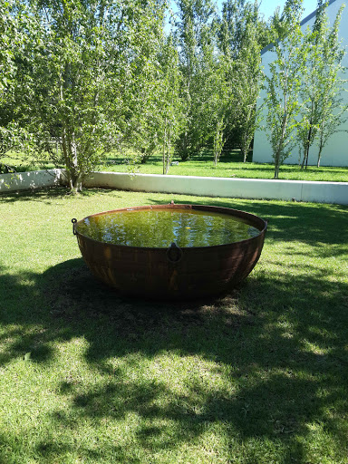 Maison Winery Water Feature