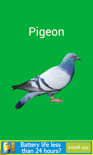 How to mod Birds Preschool Toddler Lite 1.2 apk for bluestacks