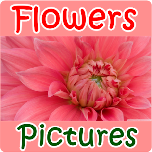 How to download Flowers Pictures 1.0 apk for laptop