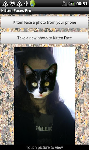 【免費攝影App】Kitten Faces Pro-APP點子