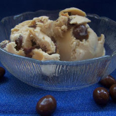Peanut Butter Ice Cream With Chocolate Covered Peanuts