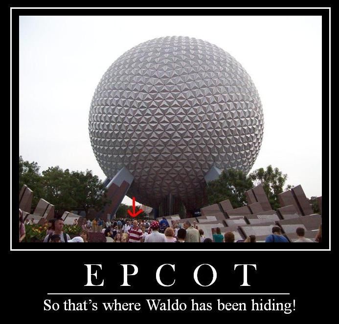 webcot.JPG