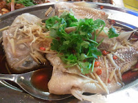 Stim Fish
