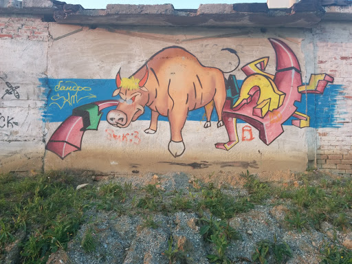 Граффити Буйвол