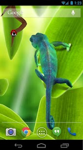  Chameleon 3D Live Wallpaper- screenshot thumbnail   