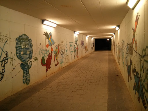 Tunnel Der Tiere