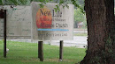 New life Alliance Church