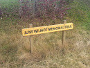 June Wilmot Memorial Trail