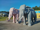 Roadside Elephants