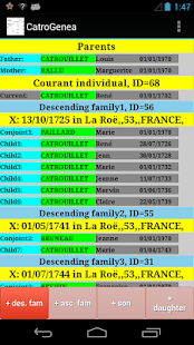 How to install CatroGenea patch 1.1.0 apk for laptop