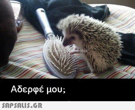 oloi Αδερφέ μου; 