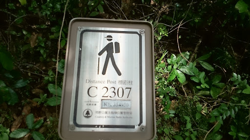 Distance Post C2307 