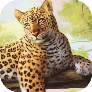 Pretty leopard on a tree lwp.apk 1.0