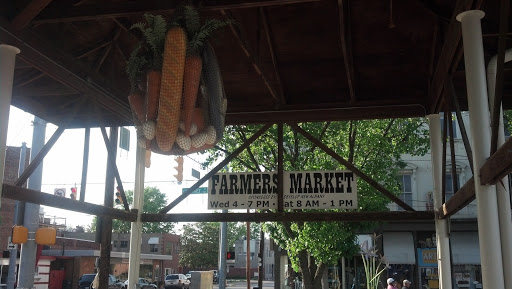 Farmer's Market Fruit Sculpture