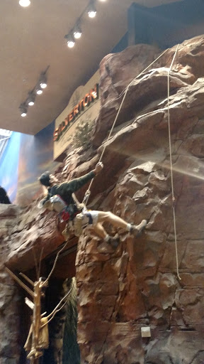 Silverton Rock Climber