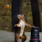 Lens_or_nut.jpg