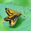 Wide-brand Grass-dart