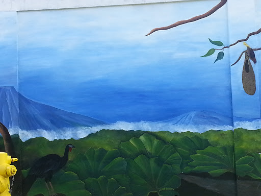 Mural  Pava Negra