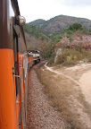 </ul> <p>the rio doce train