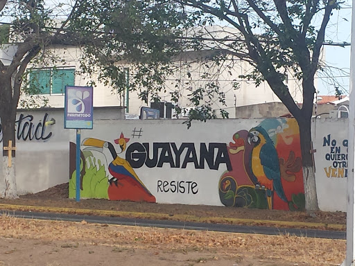 Mural Guayana Resiste
