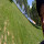 RahsaanD.Condiff