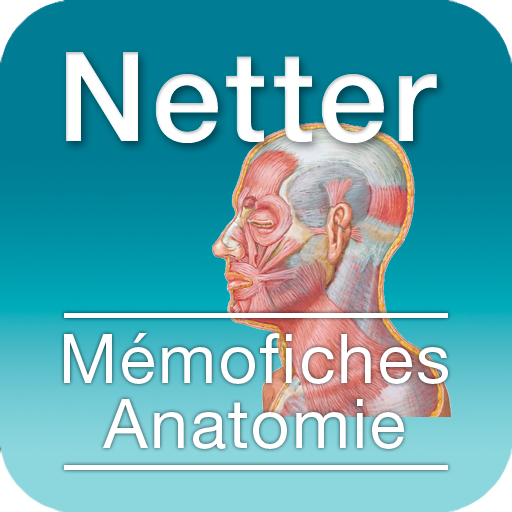 Netter LOGO-APP點子