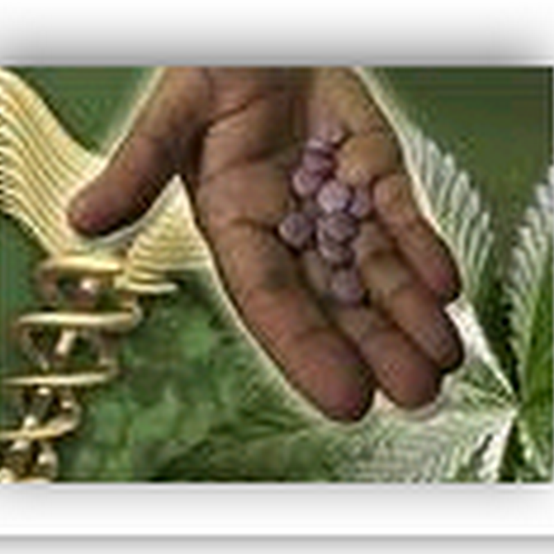 High Anxiety - Marijuana in Pill form?