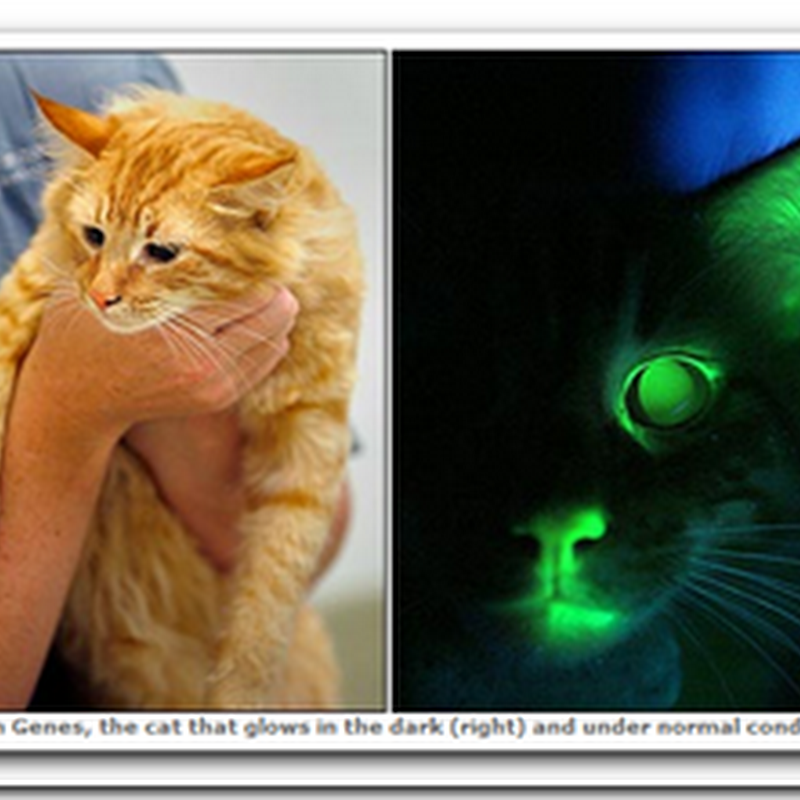 09/01/2008 10/01/2008 Medical Quack