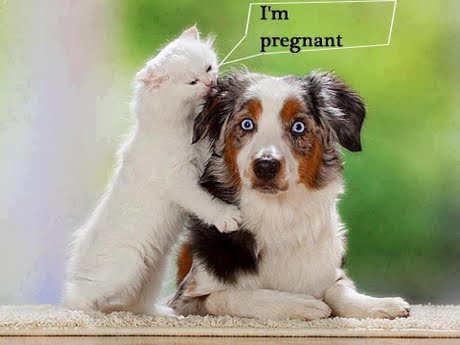rm pregnant