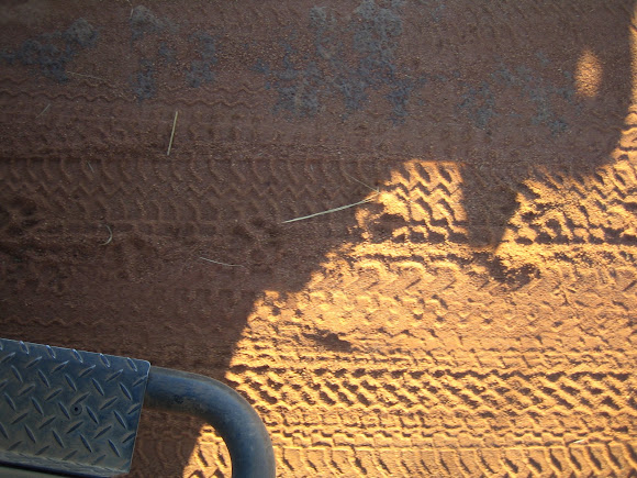 Spotting Image 1